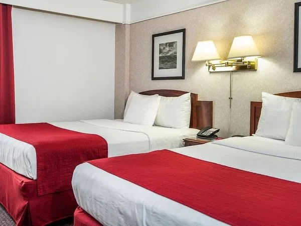 Paradise Inn Suites Grande Prairie
