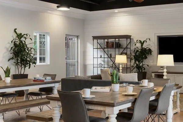 Peacock Suites
