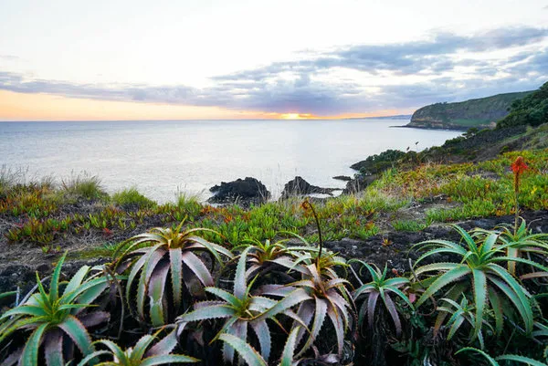 Quinta do Mirante - ANC Resort Caloura