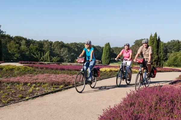 Radtour in die Lüneburger Heide,Lüneburger Heide,Radtour durch die Lüneburger Heide