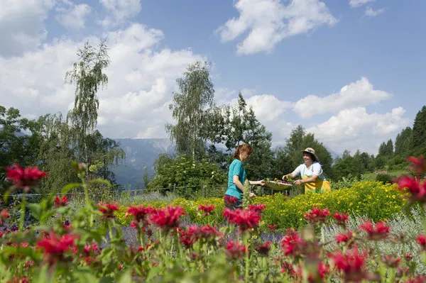 Rail & Trail - Bahn-Wandern im Westen Kärntens