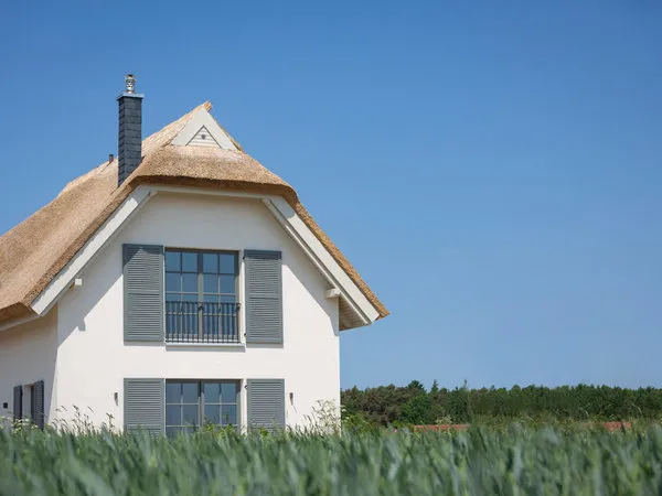 Reetland Am Meer