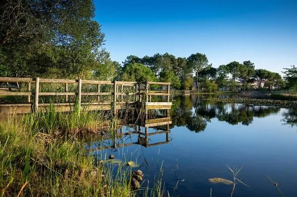Résidence Odalys Le Petit Pont
