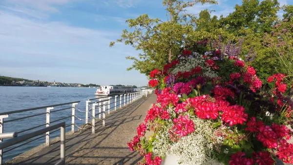 Rhein Winzertour,Rhein-Winzertour