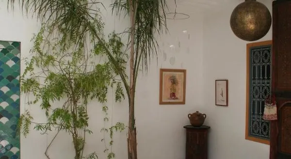 Riad Al Riad