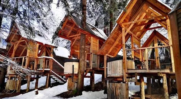 Ribno Alpine Glamping