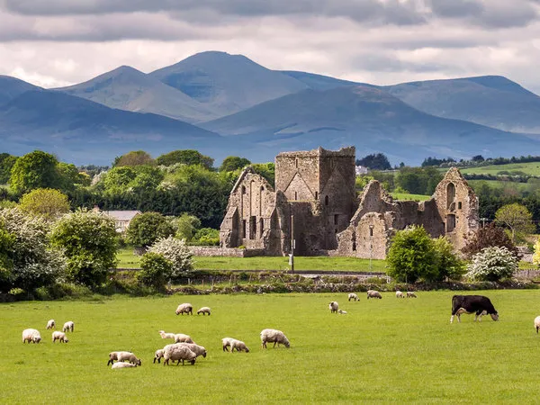 Rundreise Irland zum Kennenlernen