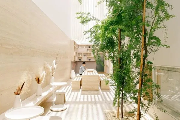Ryokan Ciudad De Mexico