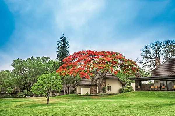 Sabi River Sun Resort