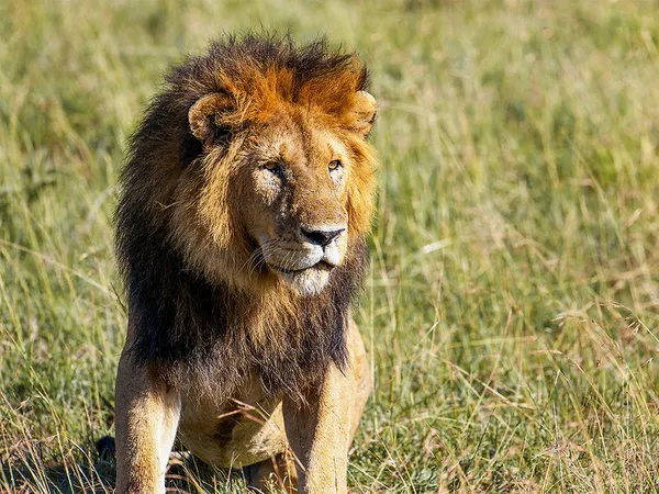 Safari - 7 Tage / Privat-Rundreise