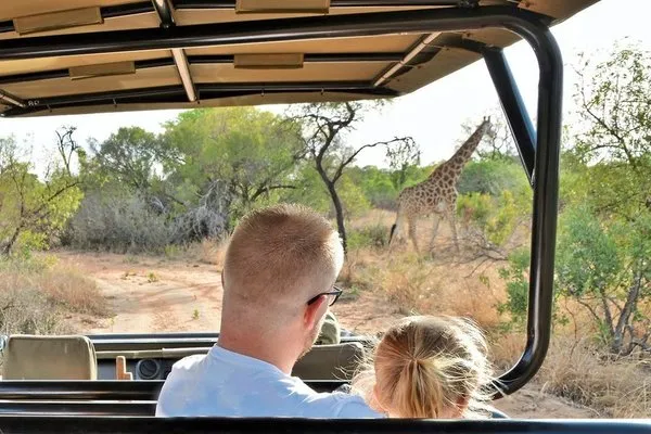Safari Plains