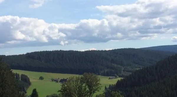 Salenhof