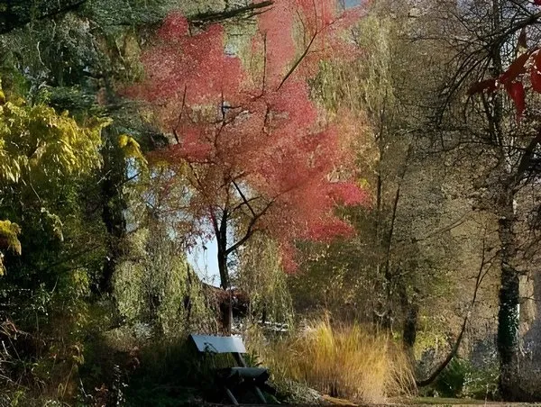 Schauinsland