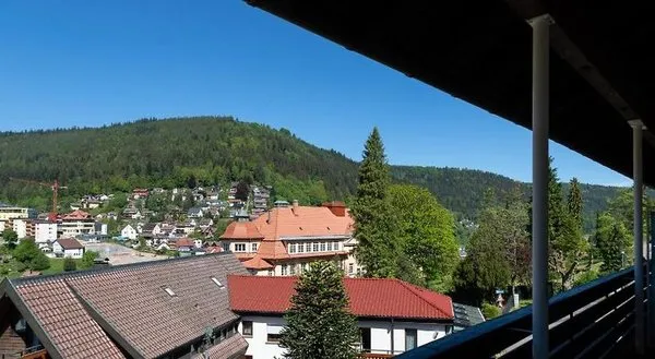 Schwarzwald Panorama