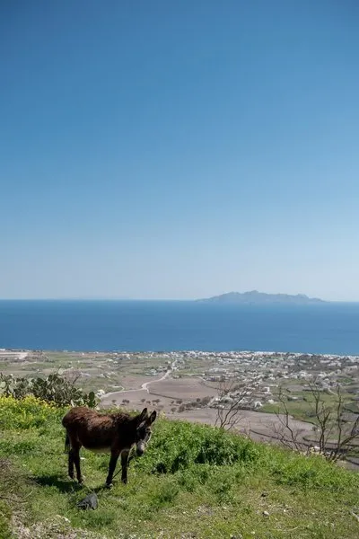 Senses Luxury Villas Santorini