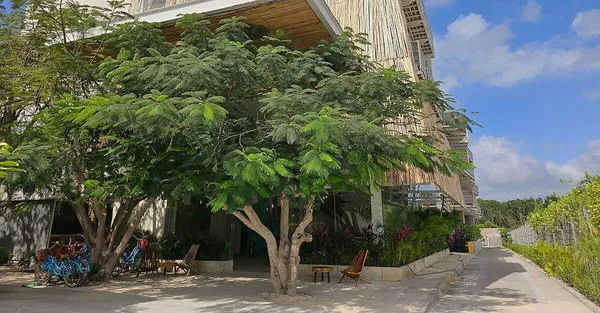 Siente Tulum