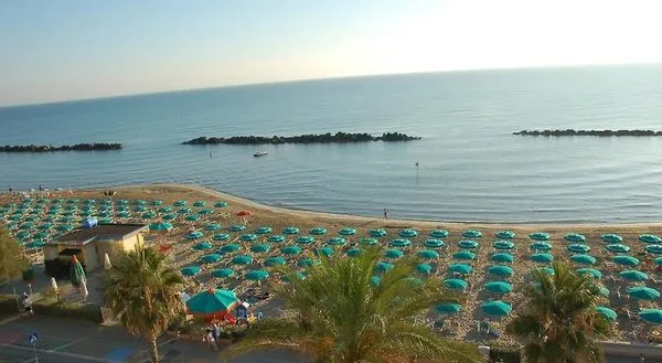 Sole