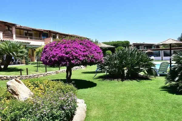 Su Giganti