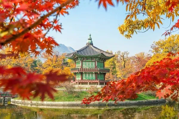 Südkorea hautnah