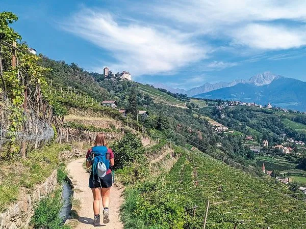 Südtiroler Wein- und Almenweg