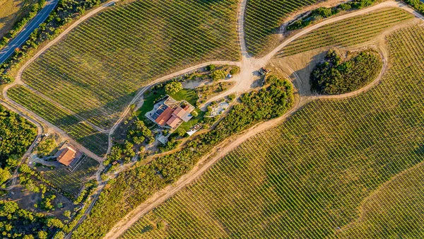 Tenuta Petra Bianca