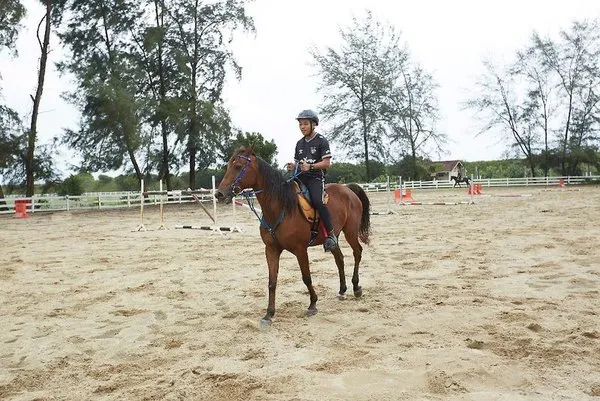 Terengganu Equestrian Resort
