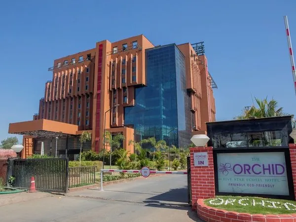 The Orchid