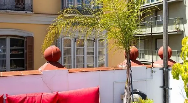 The Urban Jungle Hostel
