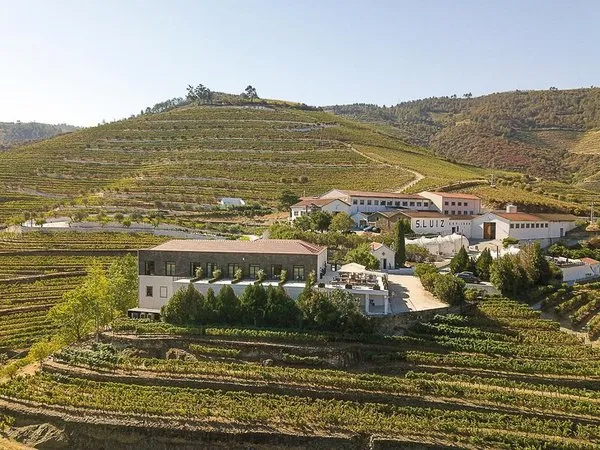The Vine House - Quinta de São Luz