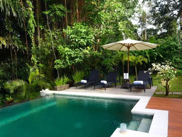 The White Villas
