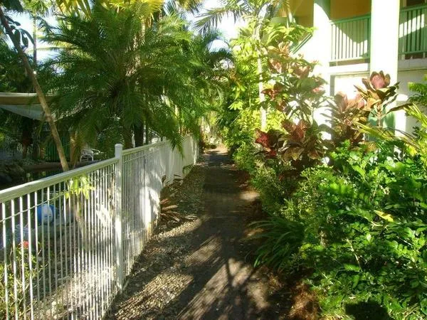 Tropical Nites