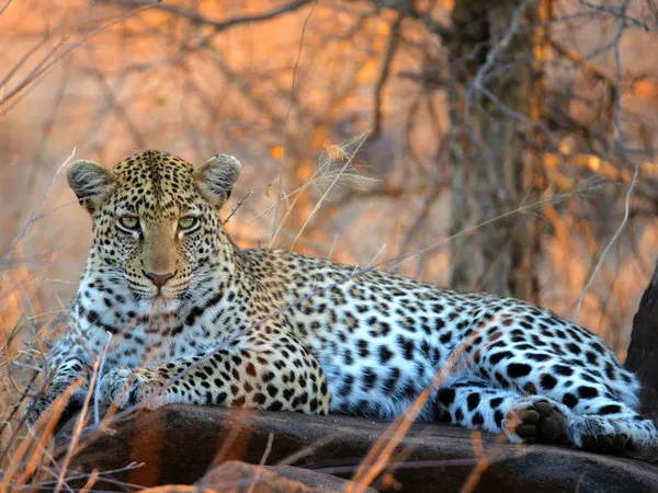 TUI Tours: Klassisches Südafrika,Rundreise Klassisches Südafrika