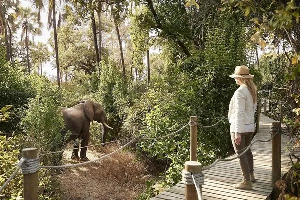 Victoria Falls River Lodge