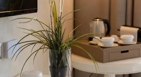 Villa Fiorita Boutique Hotel