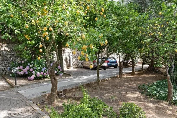 Villa Oriana Relais