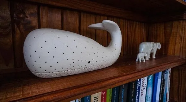 Whalesong Guest House