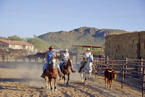White Stallion Ranch