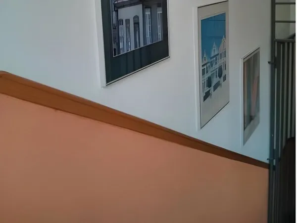 Willy Hotel