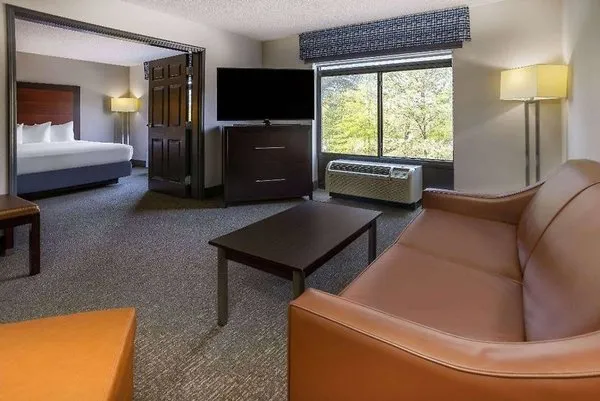 Wingate by Wyndham Atlanta Galleria/Ballpark
