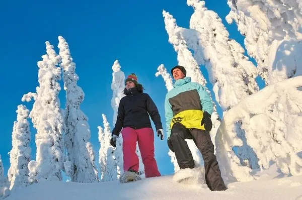 Winterabenteuer in Vuokatti - Break Sokos Hotel Vuokatti,Winterabenteuer in Vuokatti