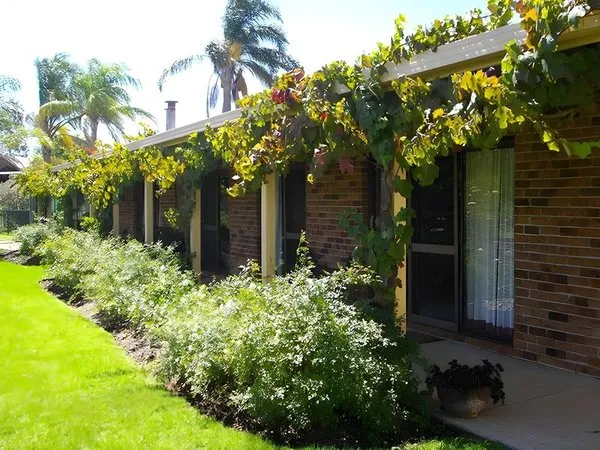 Woolshed Hill Estate