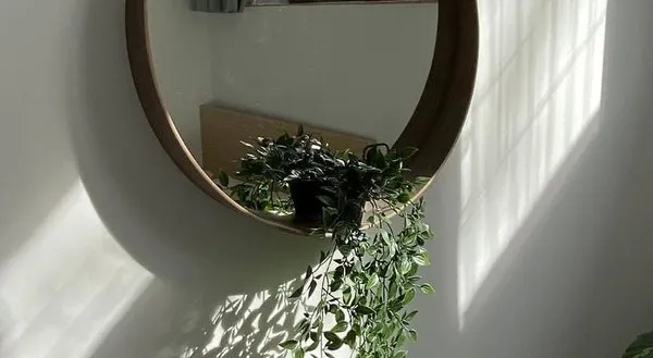 Yasi Hostel