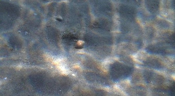 Captain's Studios & Apartments in Kavos All Inclusive Ferien