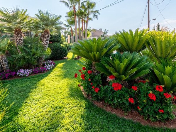 Dedalos Hotel in Malia All Inclusive Ferien