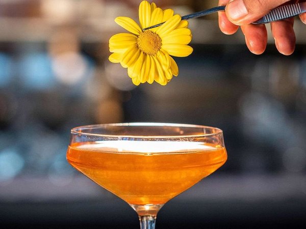 Le Louise Hotel Bruxelles - MGallery in Brüssel All Inclusive Ferien