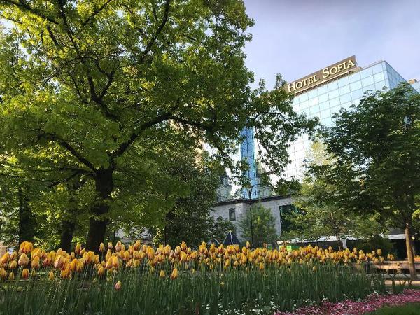 Grand Hotel Sofia in Sofia All Inclusive Ferien