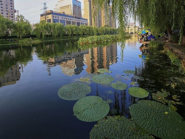 The Kunlun Beijing in Peking All Inclusive Ferien