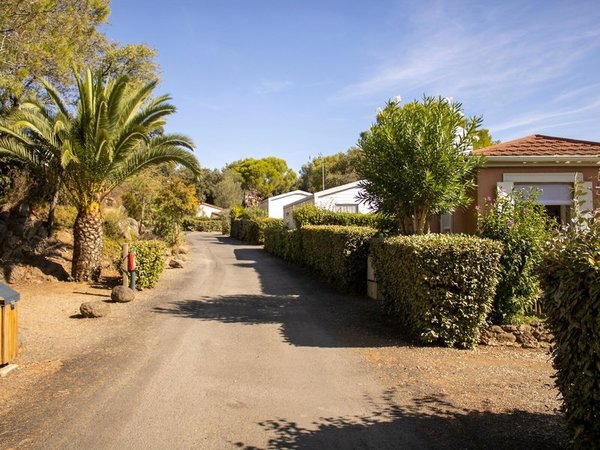 Domaine de Sainte Veziane in Bessan