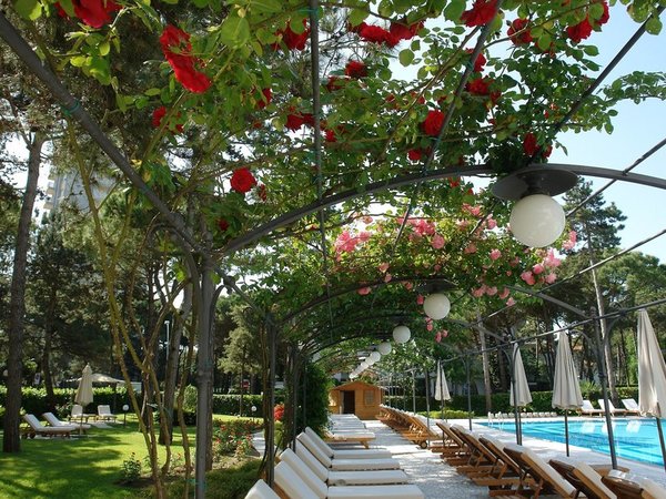 Greif in Lignano Sabbiadoro All Inclusive Ferien