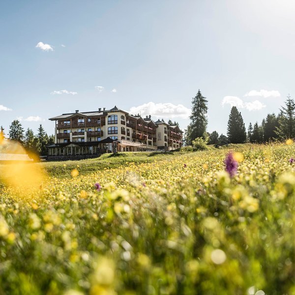 Hotel Steger-Dellai in Innsbruck All Inclusive Ferien